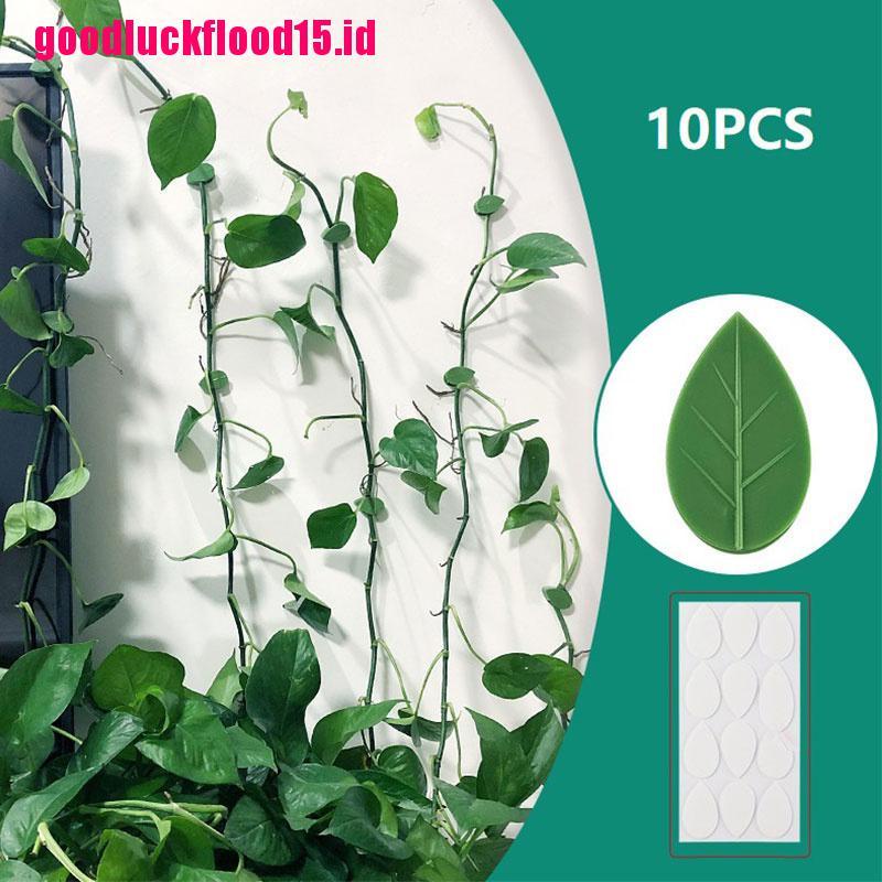 {LUCKID}10pcs Plant Fixture Clip Plant Climbing Wall Self-Adhesive Fastener Tied Fixture