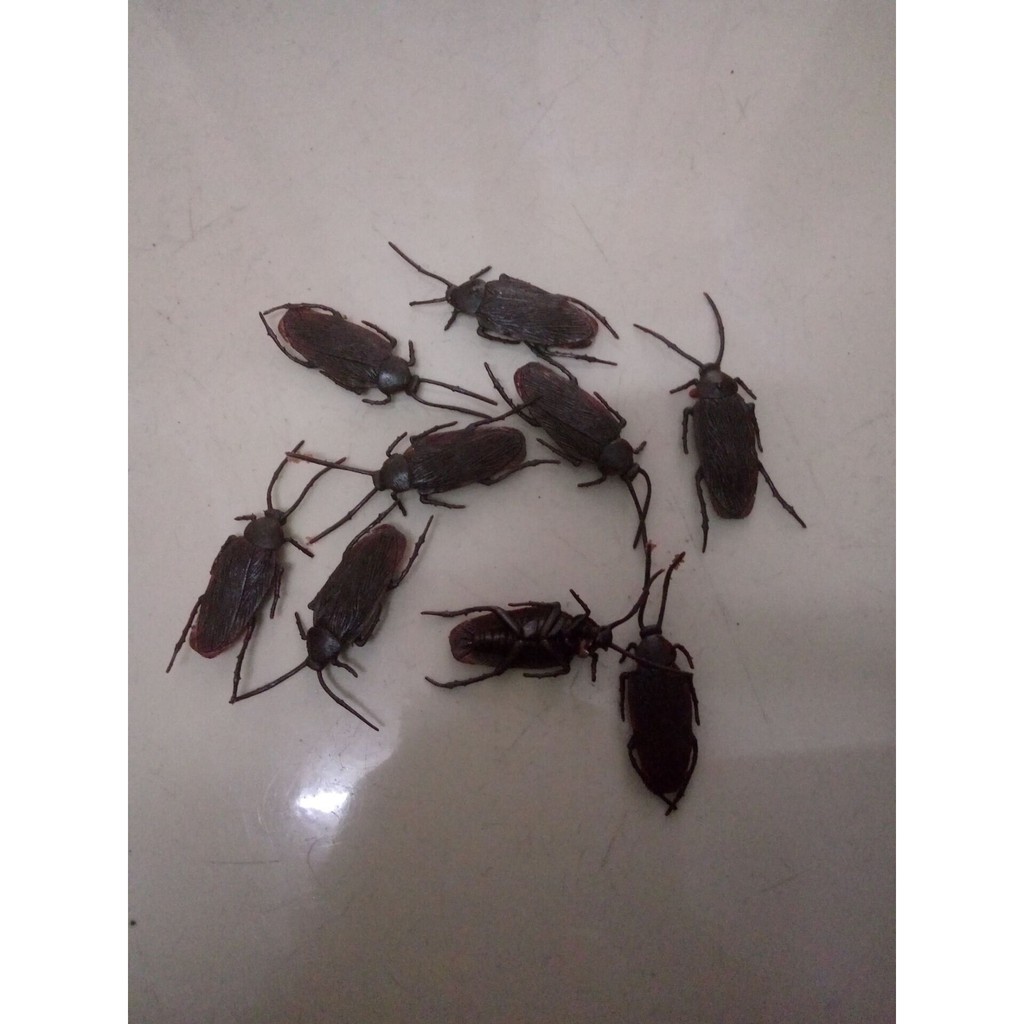 [LOGU] April Fool game, Binatang palsu, kecoak palsu, mainan usil, cicak lalat semut palsu-1