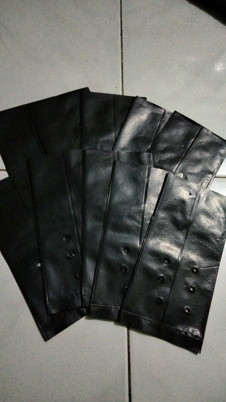 Polybag Kecil Hitam Ukuran 15cm 10 Lembar
