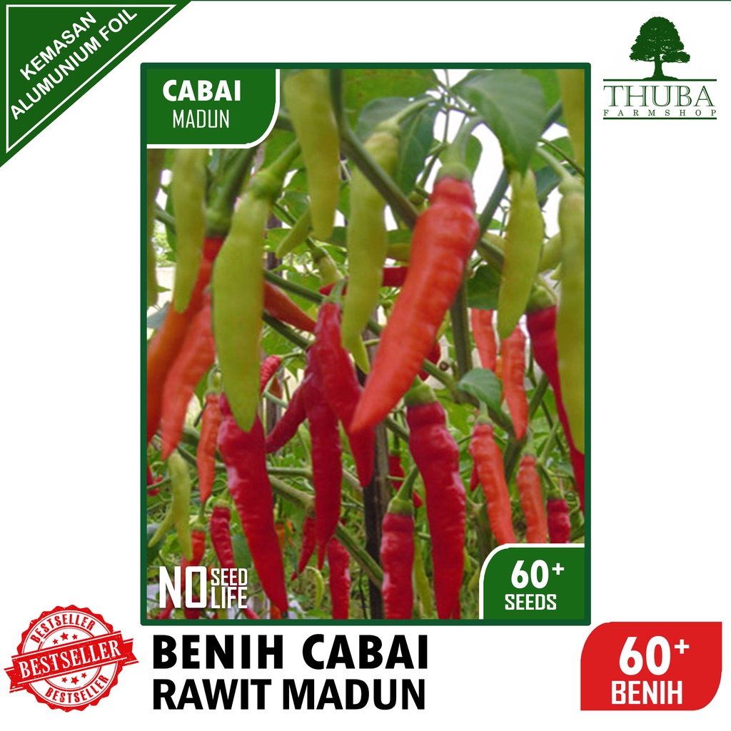 60 Biji - Benih Cabai Rawit Madun - Cabe Rawit Putih Merunduk