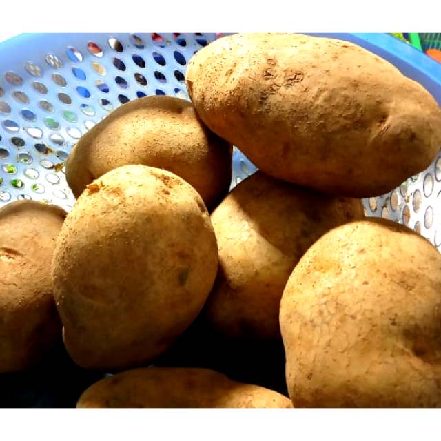 

Kentang Dieng Segar 1kg