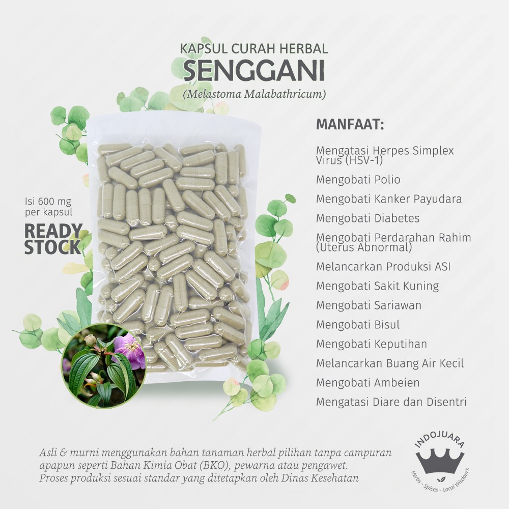 SENGGANI 100 Kapsul Curah Herbal Sariawan Keputihan Kanker Payudara