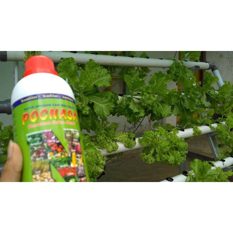 Pupuk sayuran / pupuk sayuran hidroponik / pupuk hidroponik / pupuk organik cair / pupuk daun / zpt