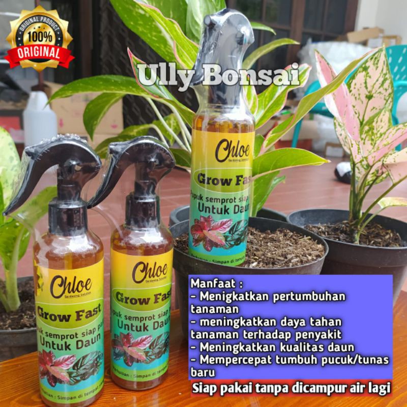 Grow Fast Pupuk Daun Semprot Aglonema Dan Semua Jenis Tanaman Hias 250ml