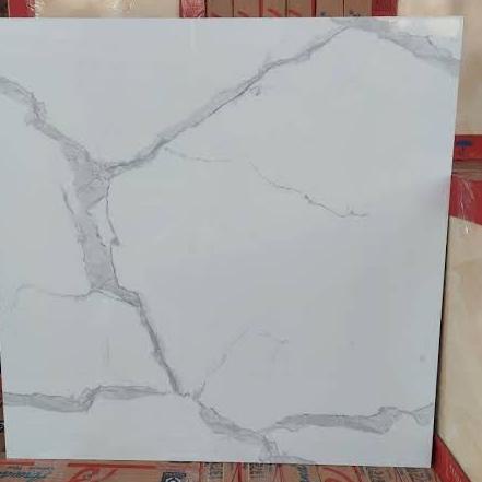 Special Favorit Granit Arna daiva white 60x60 kw 1