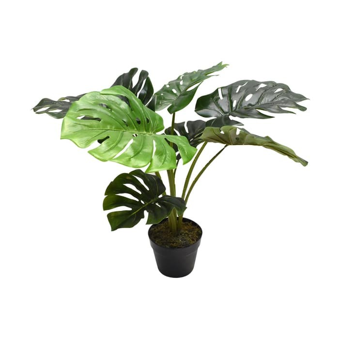 INFORMA - TANAMAN ARTIFISIAL - ARTIFICIAL MONSTERA IN POT 60X60X60CM Merdeka Store