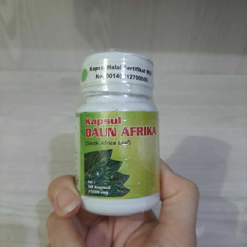 Kapsul Daun Afrika atasi Komplikasi dan Kesemutan