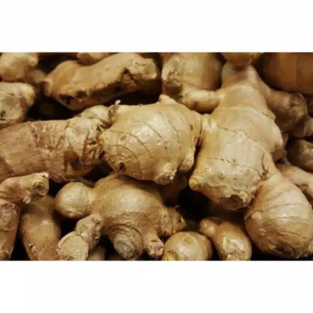 

Sayur Segar Jahe 100 gr-250 gr- 500 gr 1kg