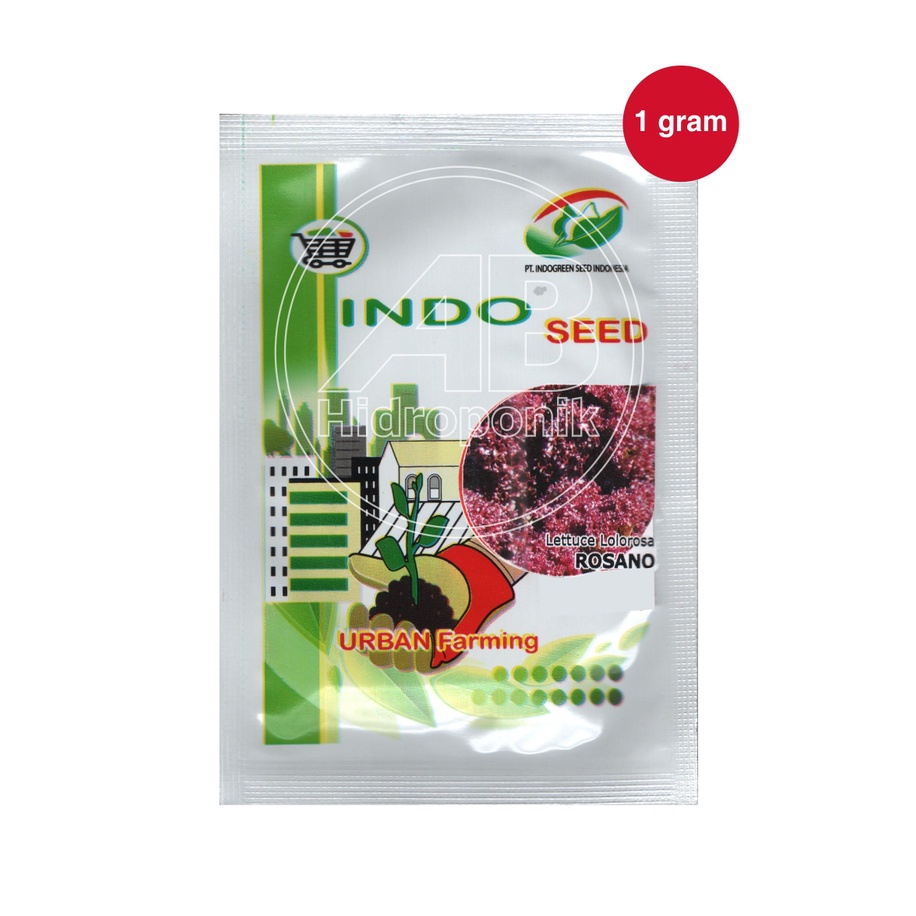 Benih Selada Lolorosa Rosano Keriting Merah Indoseed Enza Zaden Indogreen