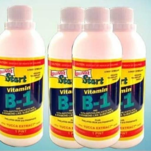 Jual VITAMIN TAMANAN DAN TUMBUHAN/liquinox Star Vitamin B-1 | Shopee ...