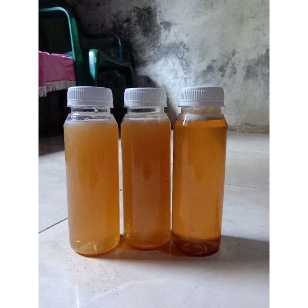 

PROMO 3 pcs madu multiflora 250ml (COD)
