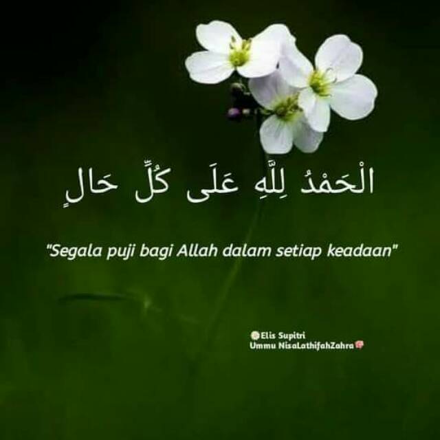 elisummunisalathizah