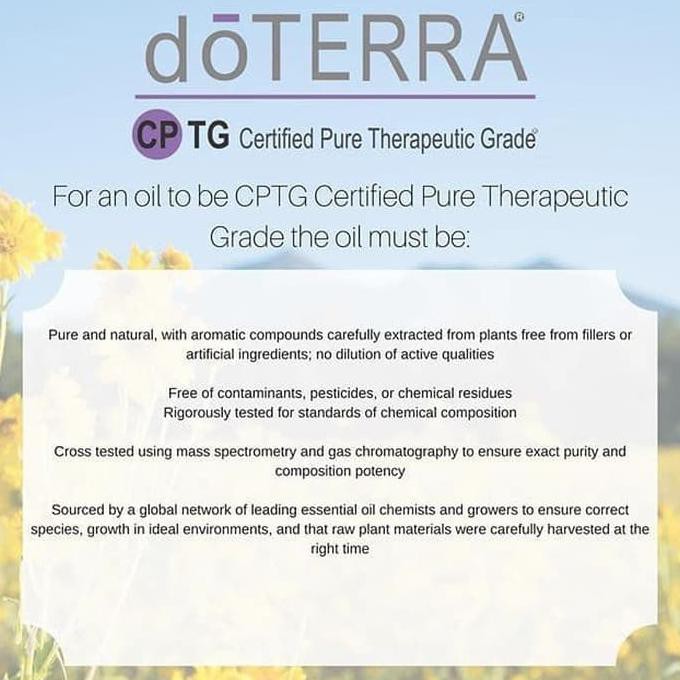 Doterra Balance 15Ml Essential Oil | Young Relax No Vertigo Living Tokonatun13331