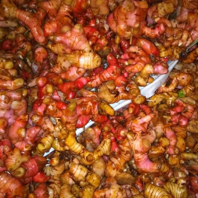 

SAYUR JAHE MERAH 500 GR