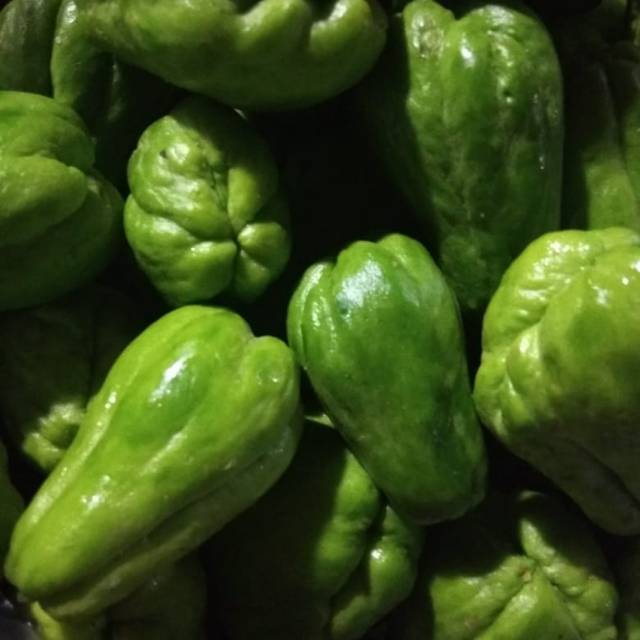 

Labu Acar