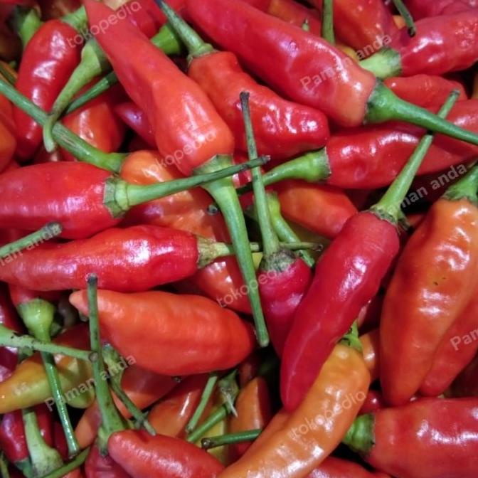 

Cabe Rawit 1 Kg