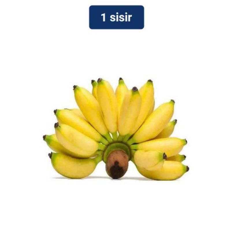 

PISANG LAMPUNG/ BANTEN