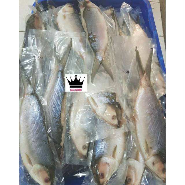 

Ikan Bandeng Cabut Duri 1kg