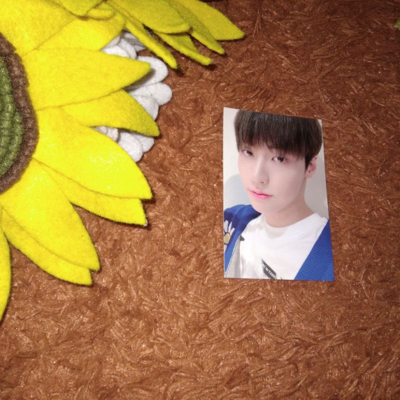 JDON (N.FLYING) MY MUSIC TASTE BENEFIT PC