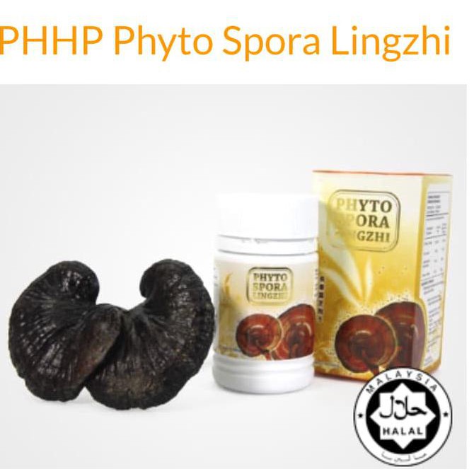 Phyto Spora Lingzhi Capsule TERLARIS