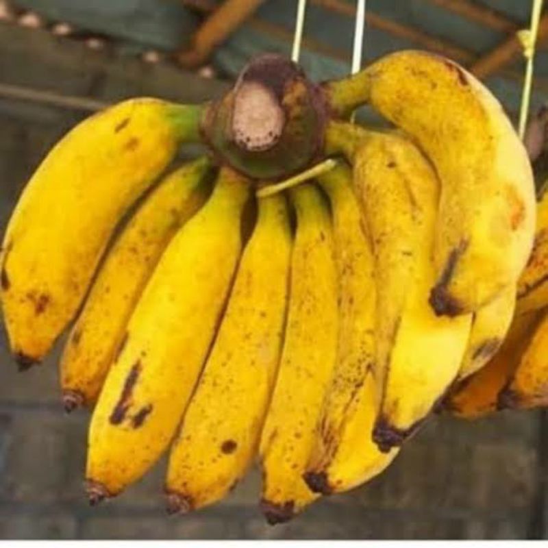 PISANG RAJA per 1 sisir