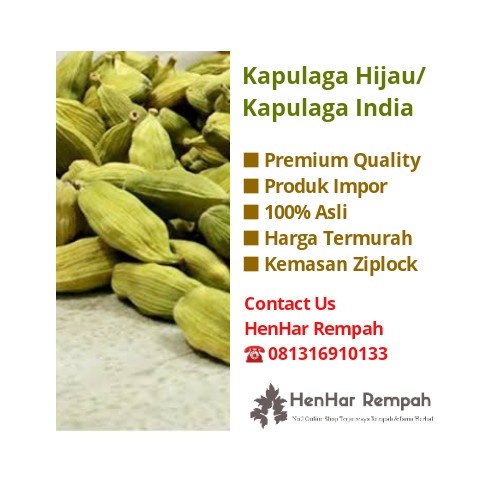 

Roxx.ea - .ea - .ea - 100 Gram Kapulaga Hijau / Kapulaga India Kualitas Bagus