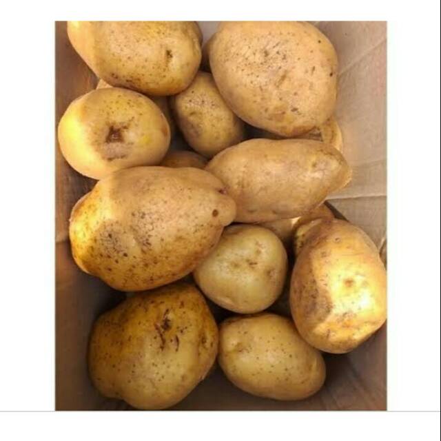 

Kentang 500gram fres,segar dan berkualitas