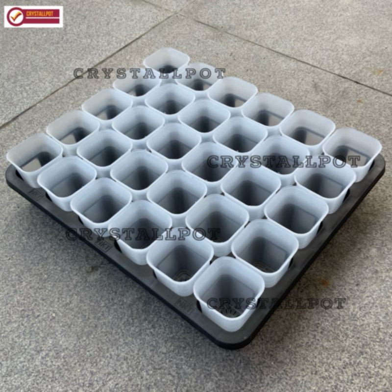 1 SET TRAY LUBANG 30 + POT NKT KOTAK 5CM BENING TRANSPARAN 30 PCS | TRAY SEMAI BIBIT