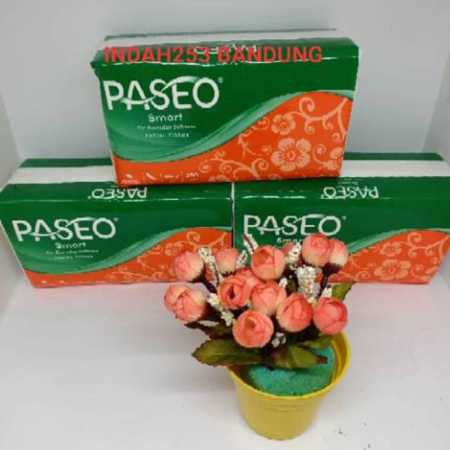 TISU PASEO 250 SHEETS