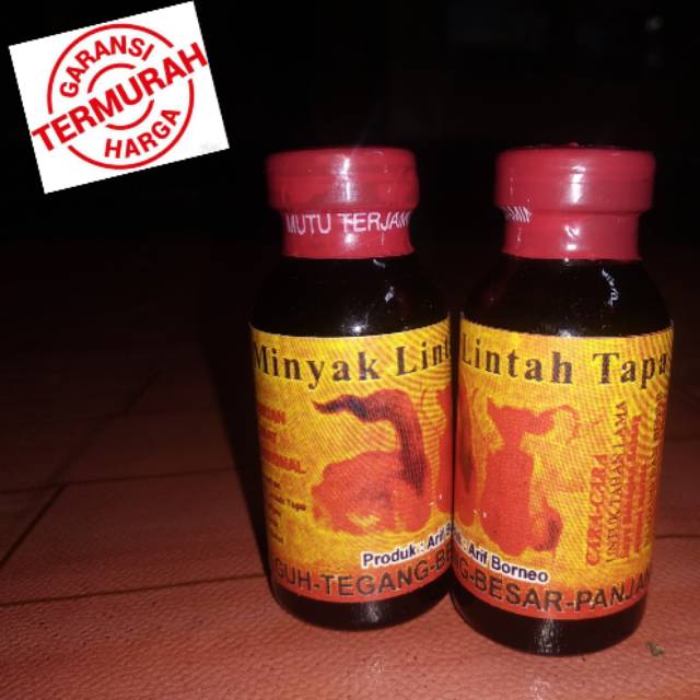 Minyak lintah tapa