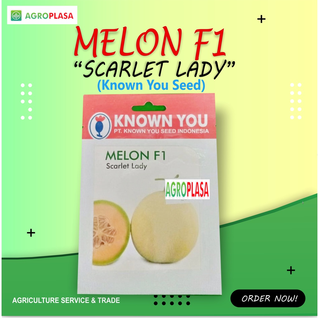 Benih Melon Scarlet Lady - Known You Seed
