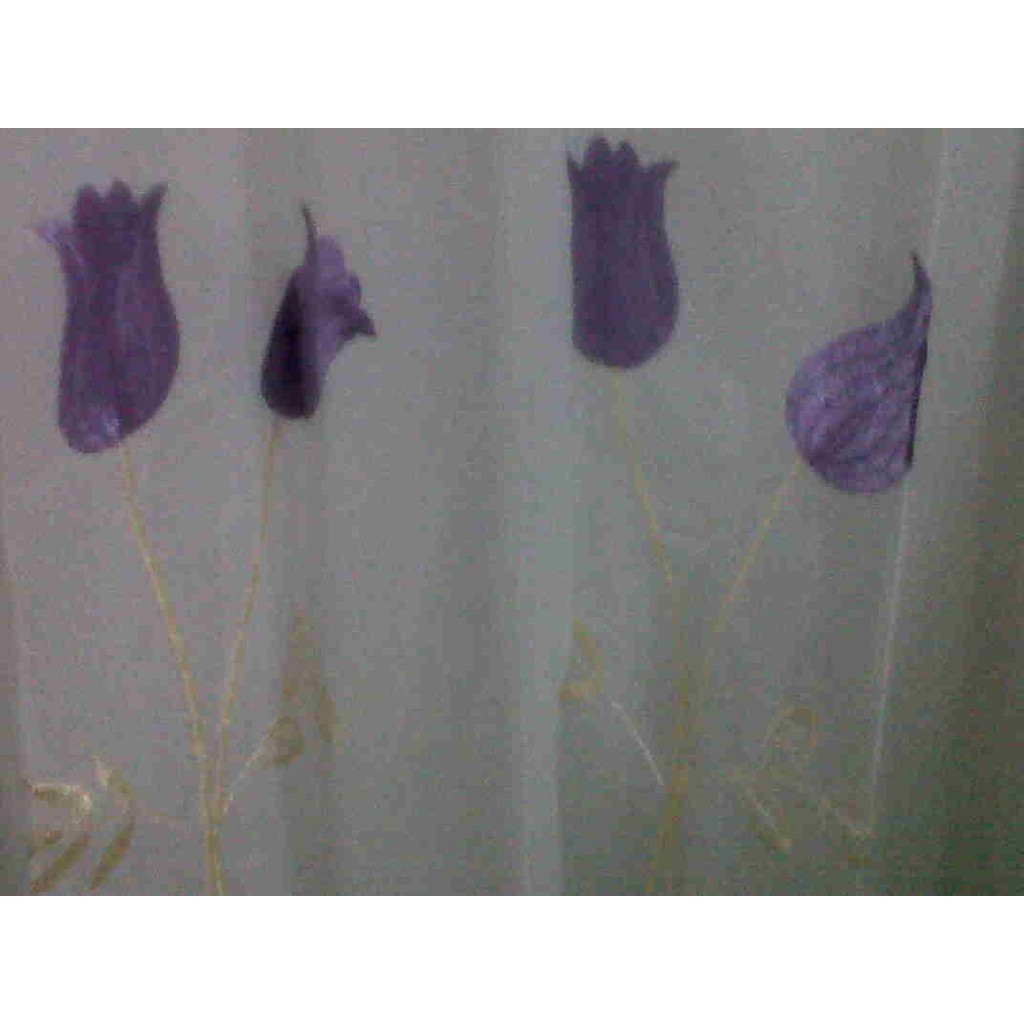 Termurah Vitrase sifon bordir import