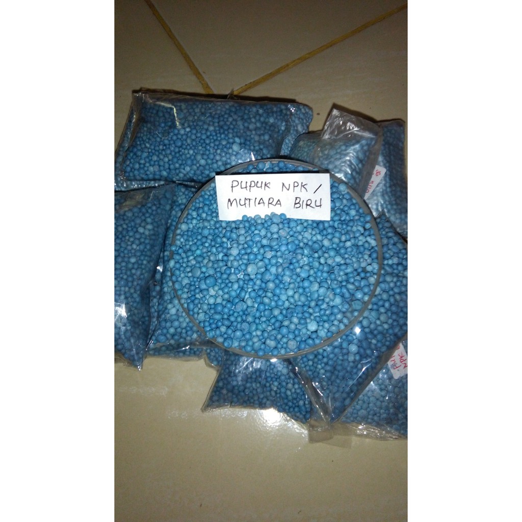 pupuk tanaman mutiara biru
