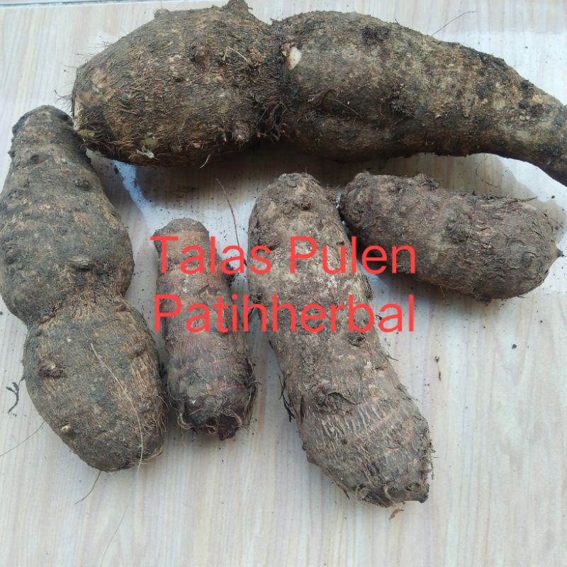 

Umbi Talas Pulen segar per 1kg