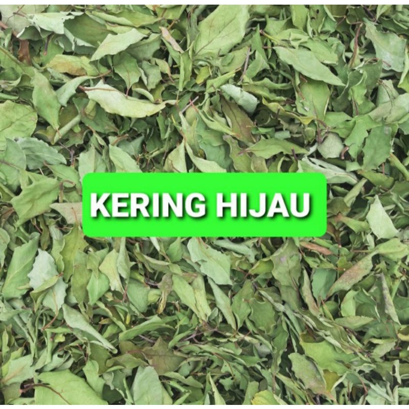 

1000 gram daun benalu kopi kering hijau (PREMIUM QUALITY)