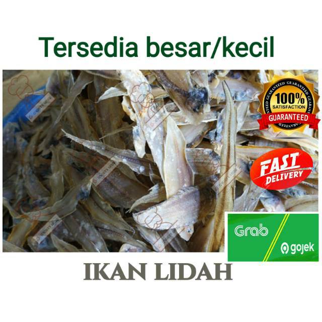 

Ikan Lidah Medan