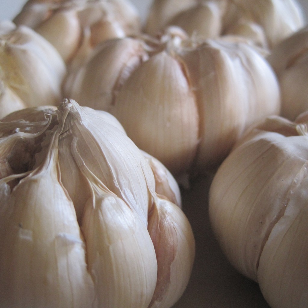 

Bawang Putih Biasa 500gr | Bumbu | Rempah