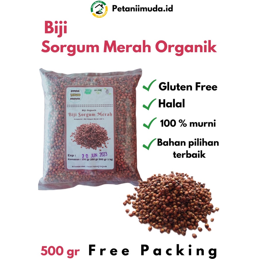 Revando45 Biji Sorgum Merah Kemasan 500 Gram/Beras Sorgum Merah Kemasan 500 Gram/Benih Sorgum Merah