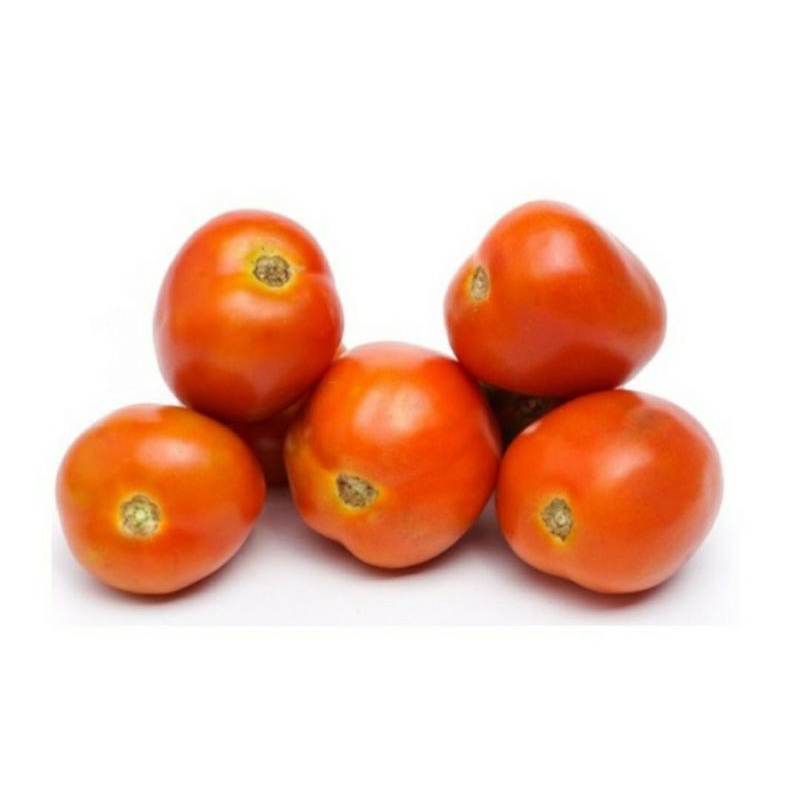 

tomat 1 kg sayuran segar