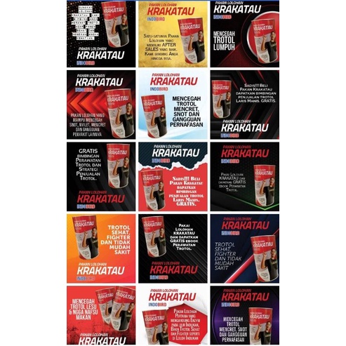 KRAKARAU Pakan lolohan murai batu