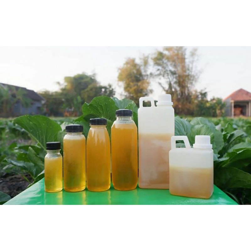 

MADU ASLI MURNI MULTIFLORA, LANGSUNG DARI PETANI