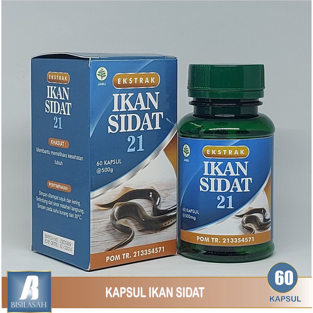 

Kapsul ikan sidat DHA EPA kecerdasan suplemen otak