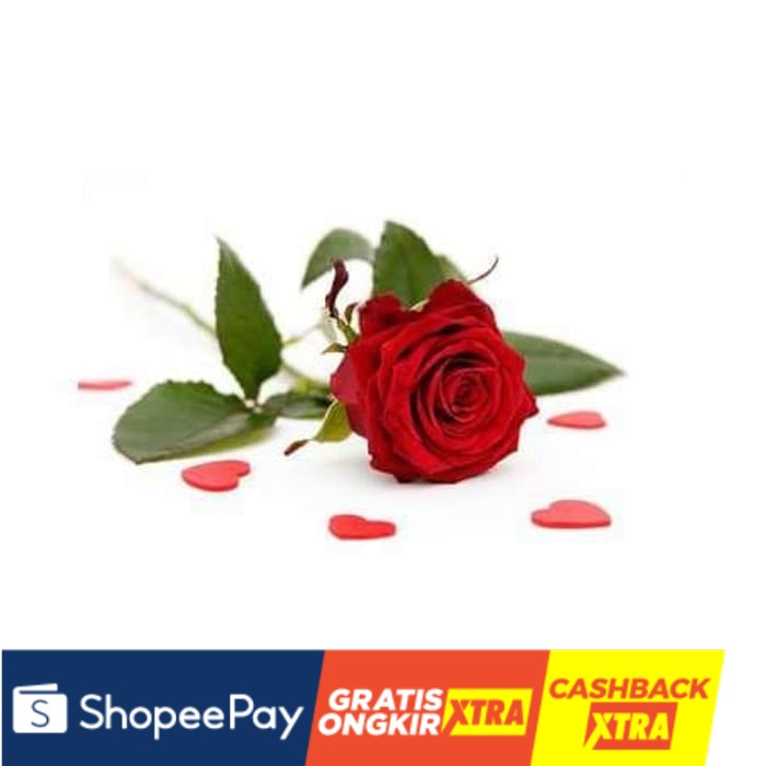 

ROSE Fragrance Oil (FO) 20mL - Bibit Parfum Kosmetik