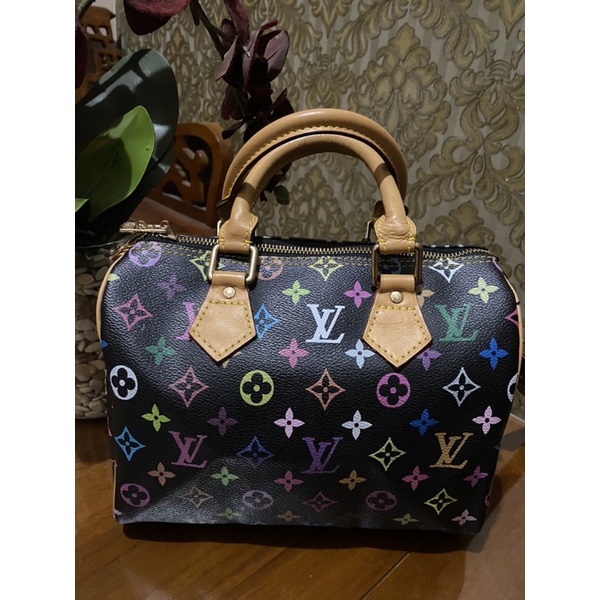 Preloved LV speddy Multicolour