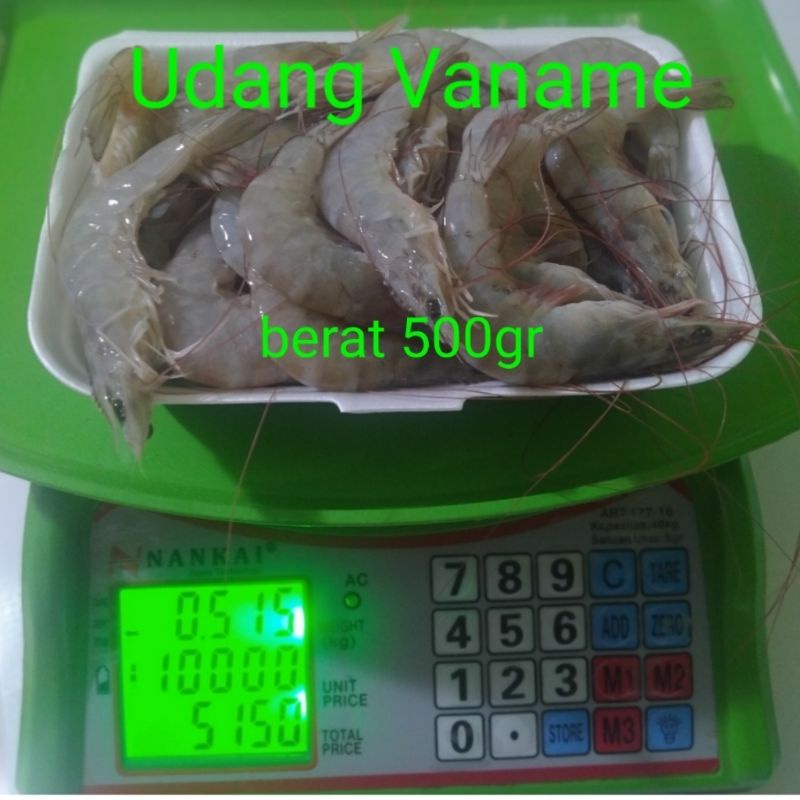 Jual Udang Segar Vaname Shopee Indonesia