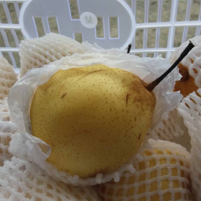 

Pear Yalie