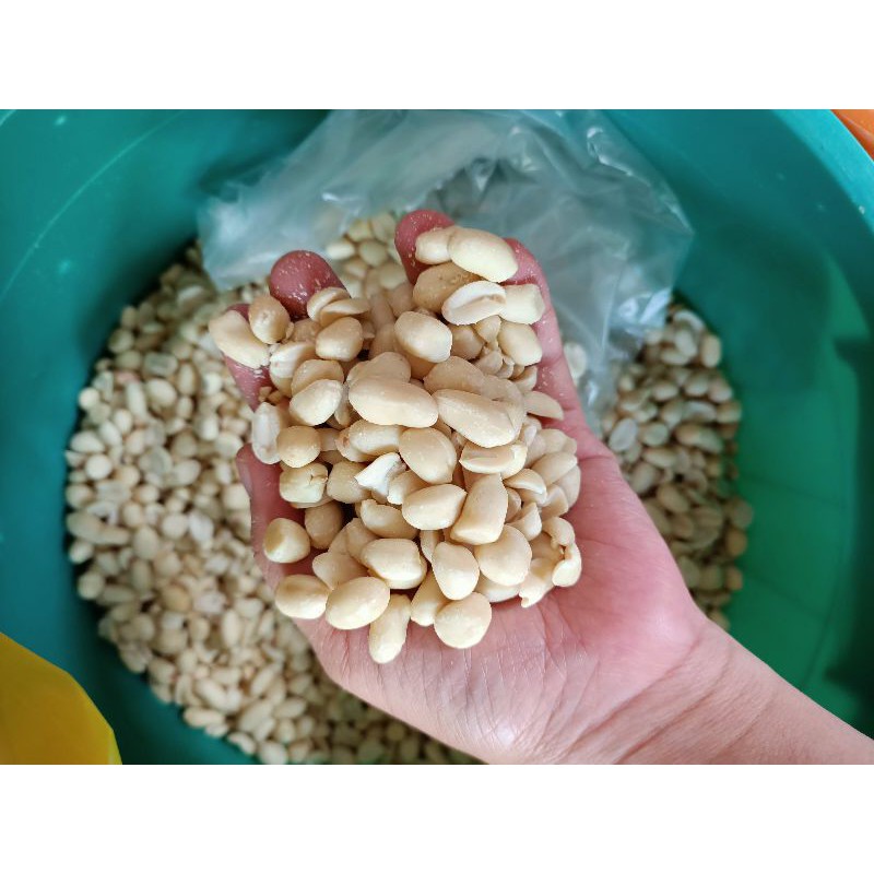 

(500gr) Kacang Tanah Kupas / Kacang Tanah Putih / Kacang Mentah / Kacang Kupas