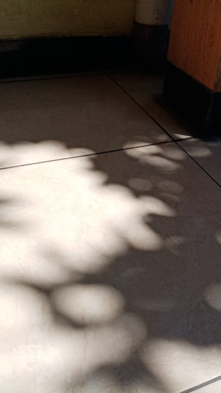 200gram Tisu Kering Serbaguna Bisa Di Cuci Ulang Cocok Buat Lap Pembersih Nyerap Air Minyak Tisue