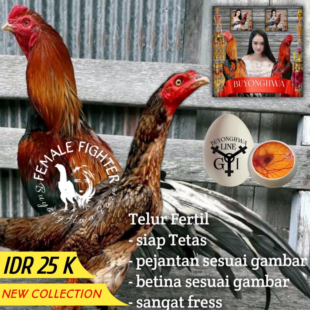 telur ayam ganoi ori mix