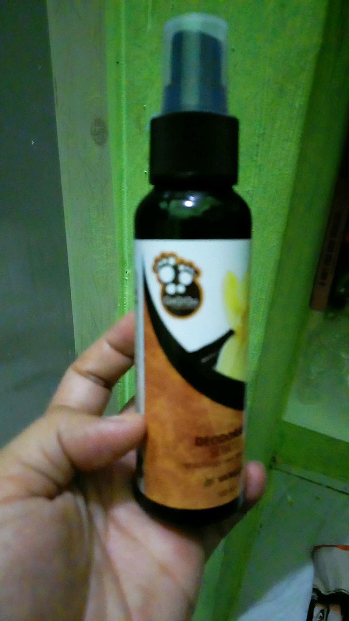 Qaqiqu Parfum Sepatu Variant Vanilla